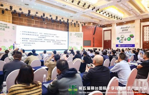 小種子撬動(dòng)大產(chǎn)業(yè) 第五屆邢臺(tái)國(guó)際十字花科蔬菜產(chǎn)業(yè)大會(huì)盛大啟幕